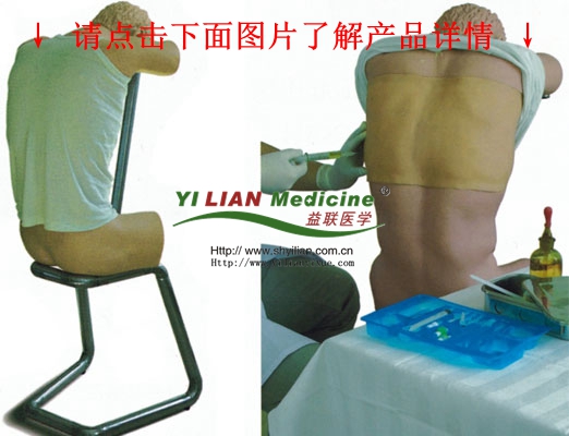 背部穿刺訓(xùn)練模型