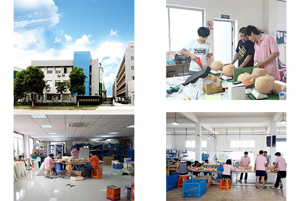 心肺復蘇模型廠家