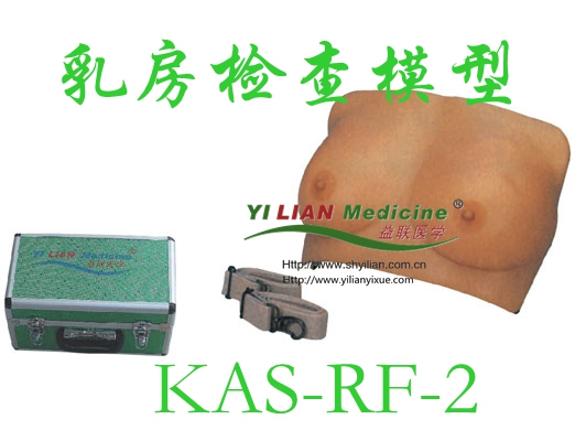 乳房檢查模型