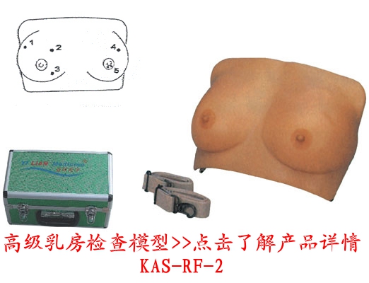 �߼��鷿�z��ģ��