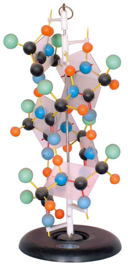 �����|��ʾģ��