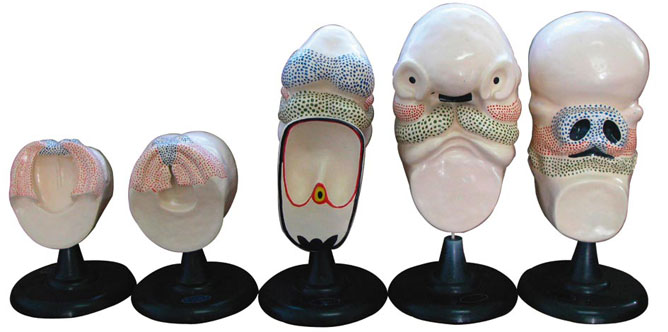 ̥��������ģ��