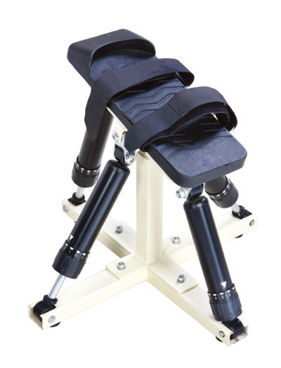 ���P�����Ӗ���� �����P��Ӗ������