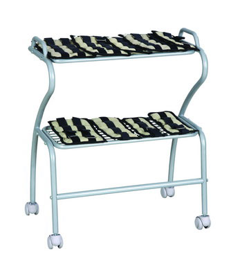 ϵ��ɳ������ʽ��