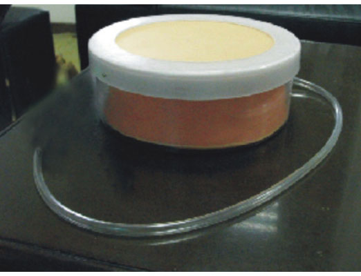 �ʸ����g(sh��)���_(k��i)�p��ģ��