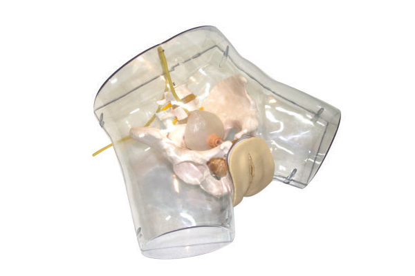 �߼�(j��)͸���Όmģ��