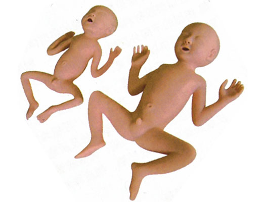 �߼�24����a��ģ��