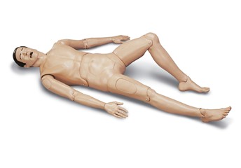 ײ��Kellyģ��