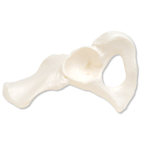 �y������