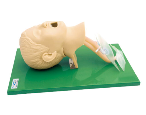 �߼���ͯ��ܲ��ģ��