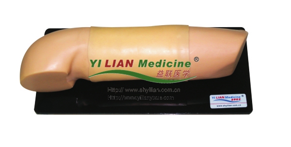 �߼�(j��)Ƥ��������о���(x��)�ֱ�