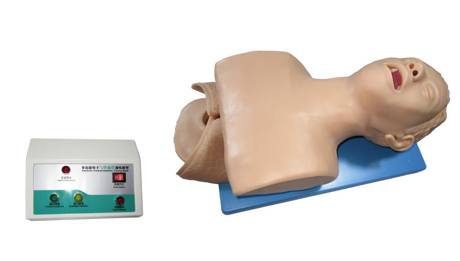 �߼����˚�ܲ�ܲ���ģ��